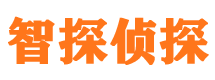 伊吾找人公司